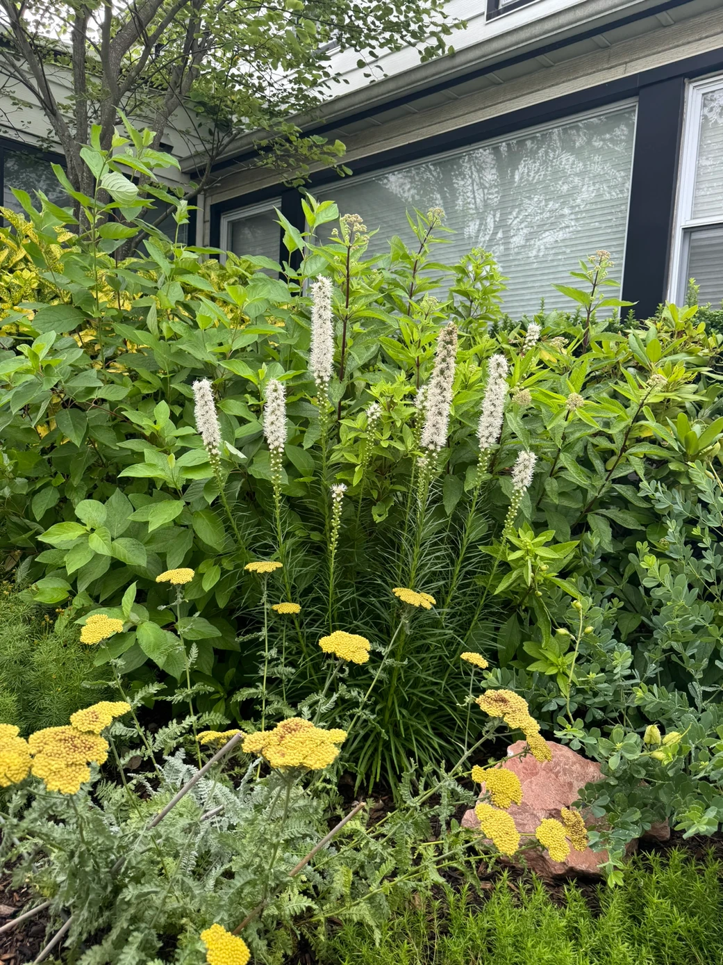 Understanding Weeds and How to Handle Them