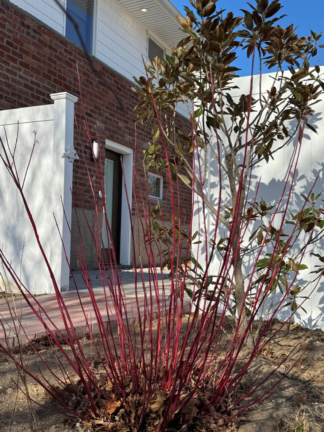 Timely Winter Gardening Tips and Having Exotic Plants Responsibly