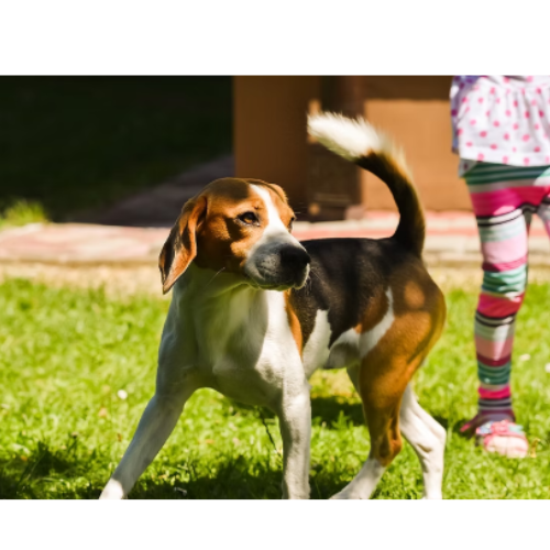 Design sem nome (79)