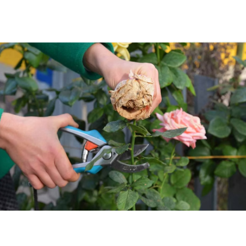 Design sem nome (92)