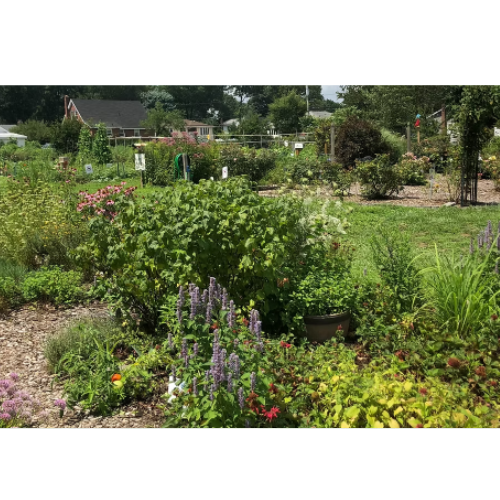 Design sem nome (93)