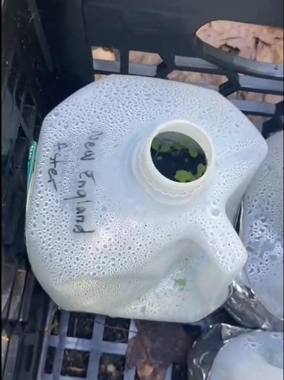 What is Stratification?